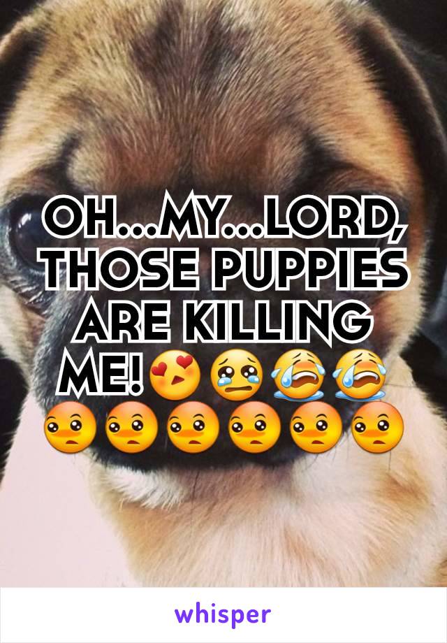 OH...MY...LORD, THOSE PUPPIES ARE KILLING ME!😍😢😭😭😳😳😳😳😳😳