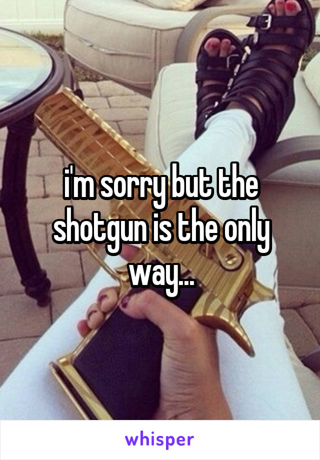 i'm sorry but the shotgun is the only way...
