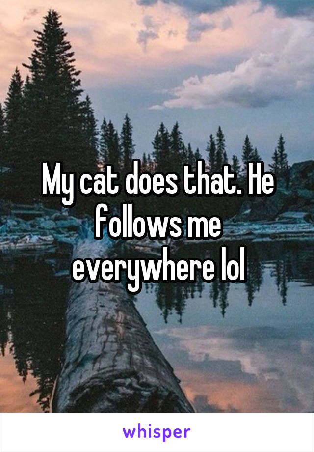 My cat does that. He follows me everywhere lol