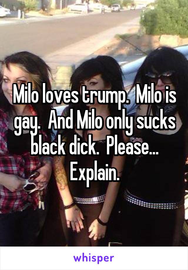 Milo loves trump.  Milo is gay.  And Milo only sucks black dick.  Please... Explain.