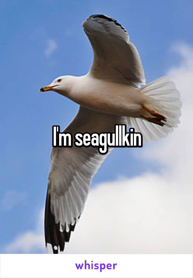 I'm seagullkin