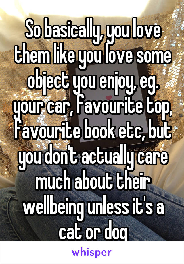 So basically, you love them like you love some object you enjoy, eg. your car, favourite top, favourite book etc, but you don't actually care much about their wellbeing unless it's a cat or dog