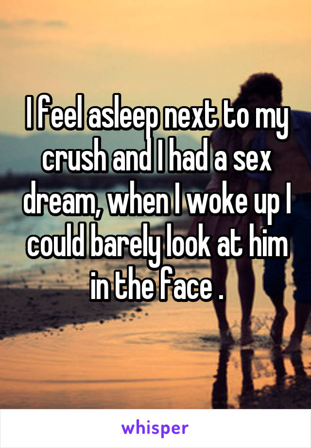 I feel asleep next to my crush and I had a sex dream, when I woke up I could barely look at him in the face .
