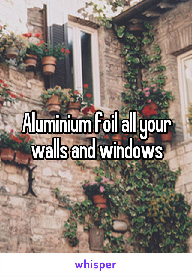 Aluminium foil all your walls and windows