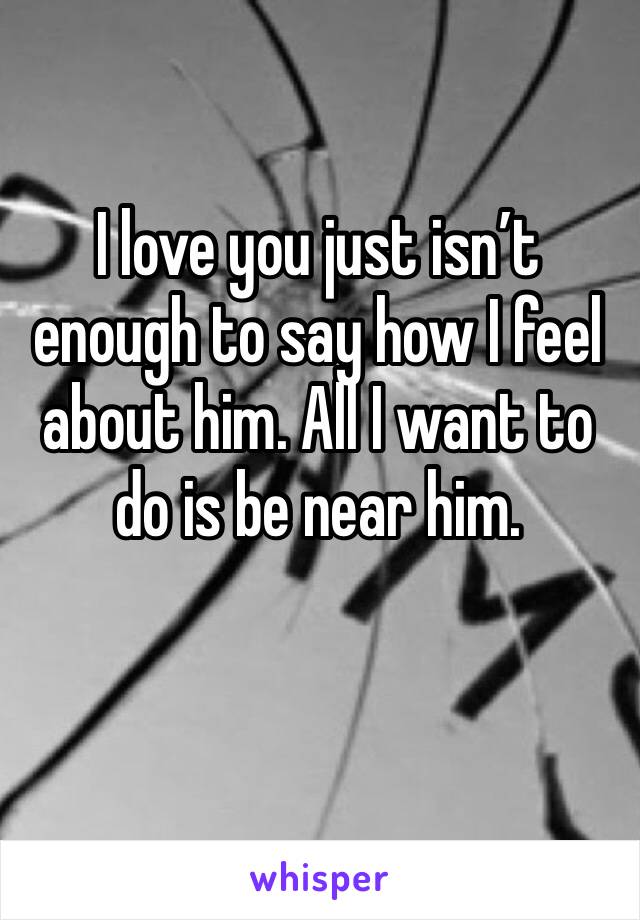 I love you just isn’t enough to say how I feel about him. All I want to do is be near him. 