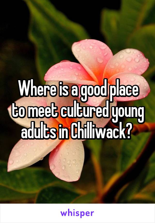 Where is a good place to meet cultured young adults in Chilliwack? 