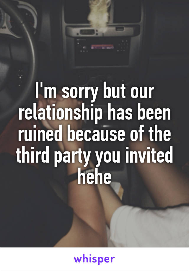I'm sorry but our relationship has been ruined because of the third party you invited hehe