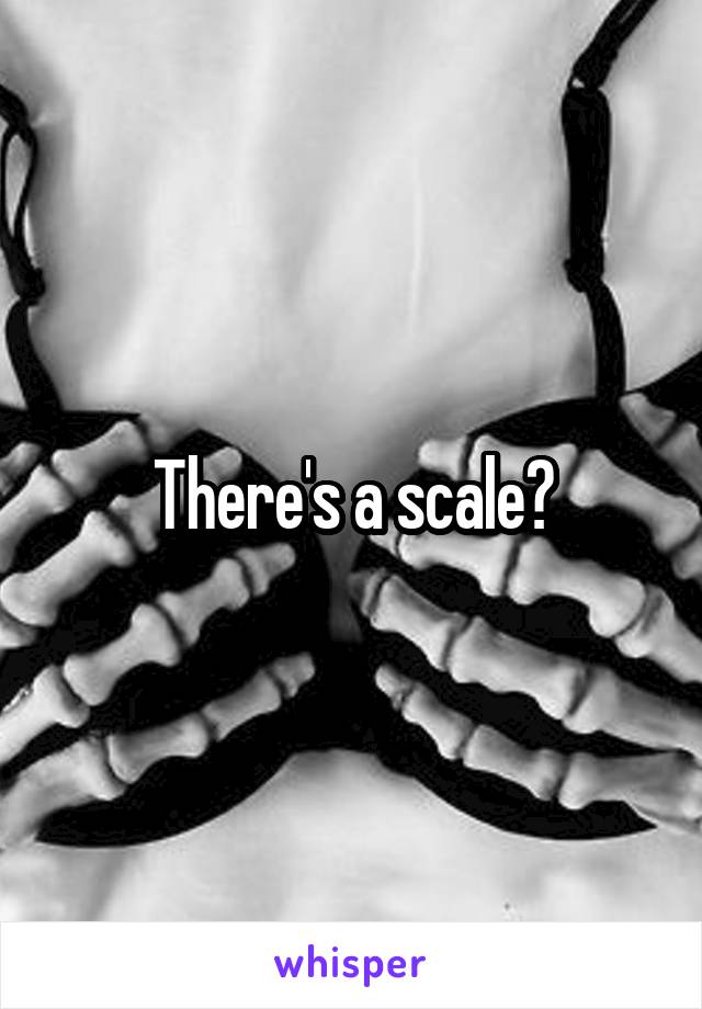 There's a scale?