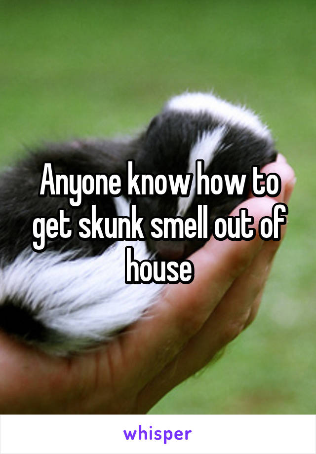 Anyone know how to get skunk smell out of house