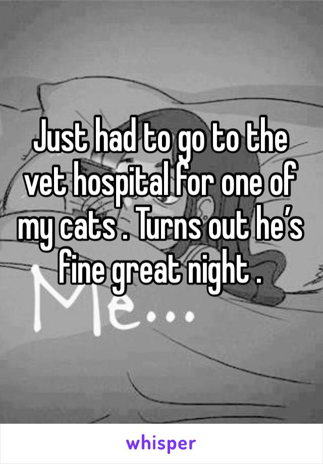 Just had to go to the vet hospital for one of my cats . Turns out he’s fine great night .