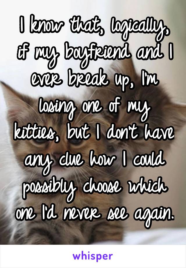 I know that, logically, if my boyfriend and I ever break up, I'm losing one of my kitties, but I don't have any clue how I could possibly choose which one I'd never see again. 