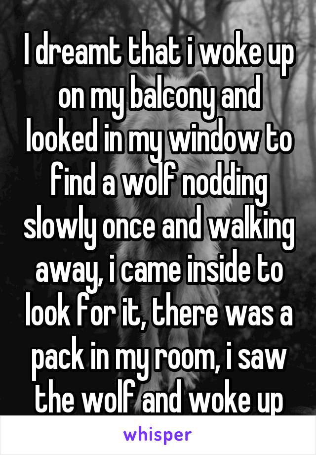 I dreamt that i woke up on my balcony and looked in my window to find a wolf nodding slowly once and walking away, i came inside to look for it, there was a pack in my room, i saw the wolf and woke up