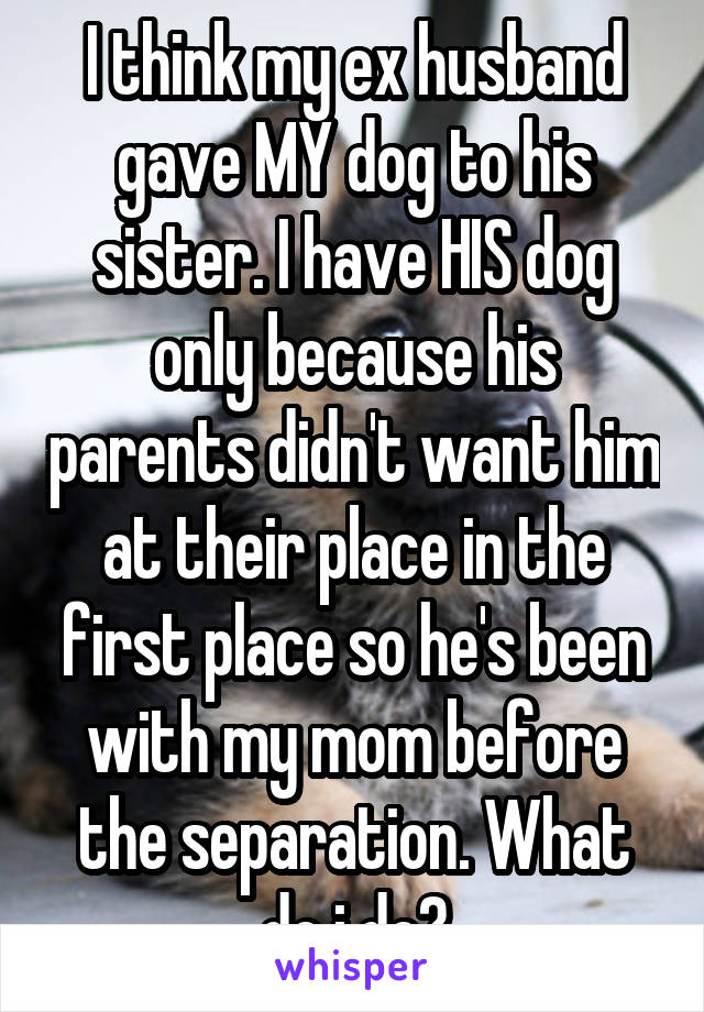 I think my ex husband gave MY dog to his sister. I have HIS dog only because his parents didn't want him at their place in the first place so he's been with my mom before the separation. What do i do?