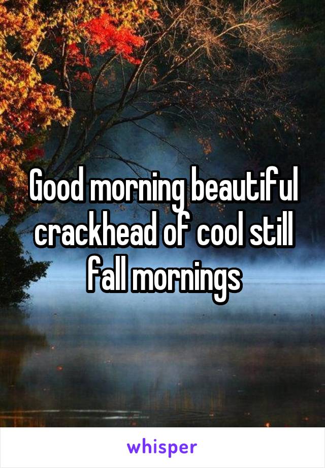 Good morning beautiful crackhead of cool still fall mornings