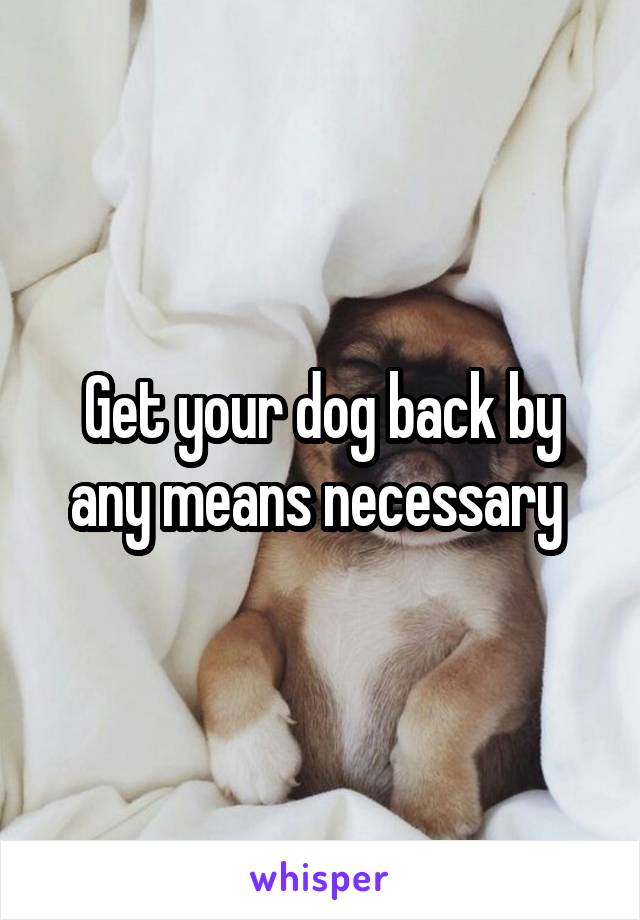 Get your dog back by any means necessary 