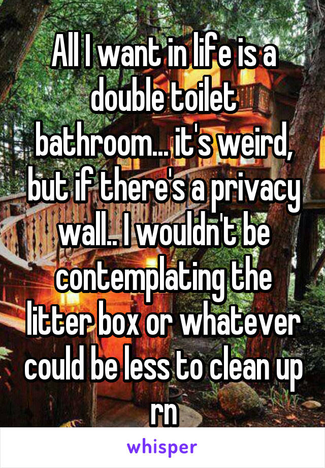 All I want in life is a double toilet bathroom... it's weird, but if there's a privacy wall.. I wouldn't be contemplating the litter box or whatever could be less to clean up rn