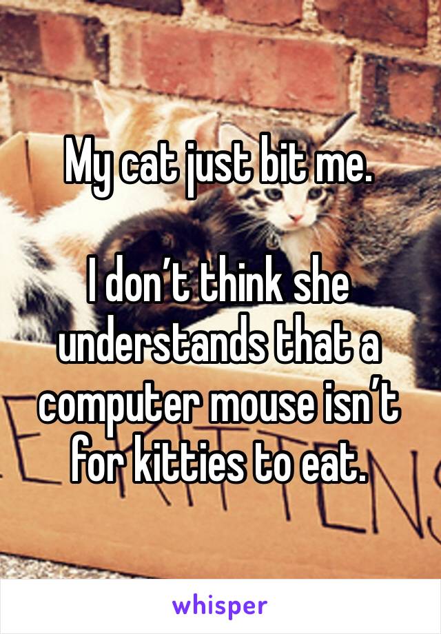My cat just bit me. 

I don’t think she understands that a computer mouse isn’t for kitties to eat. 