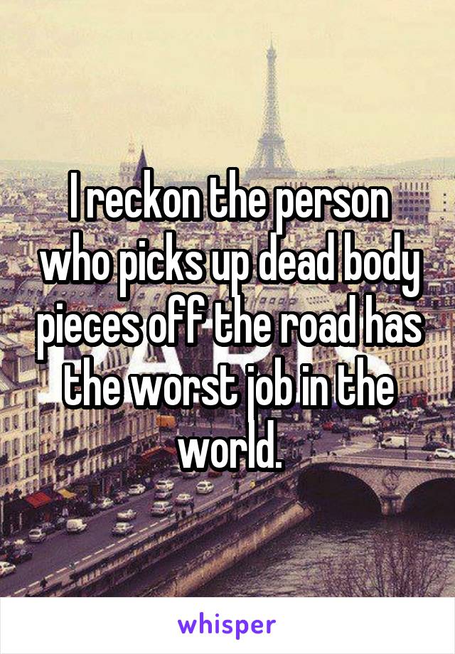 I reckon the person who picks up dead body pieces off the road has the worst job in the world.