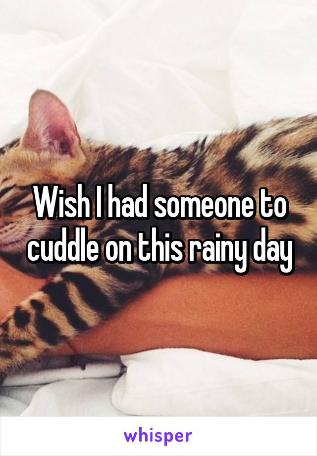 Wish I had someone to cuddle on this rainy day