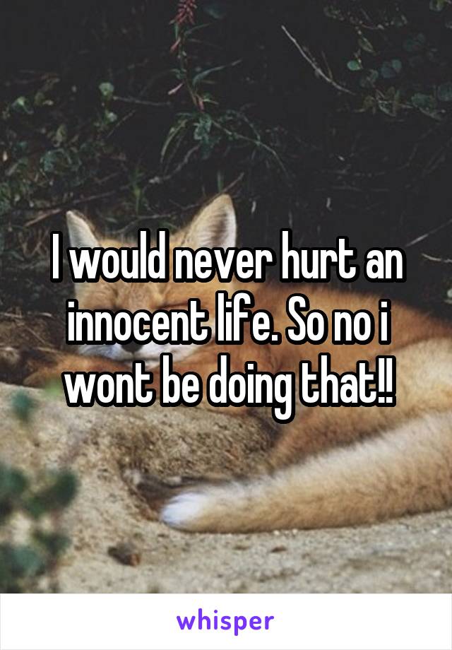 I would never hurt an innocent life. So no i wont be doing that!!