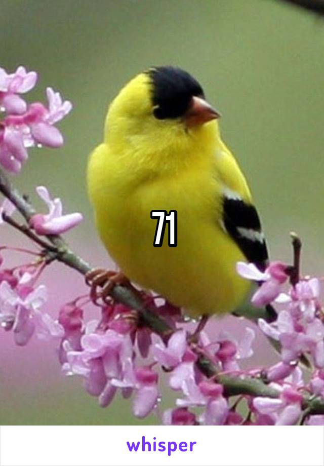 71