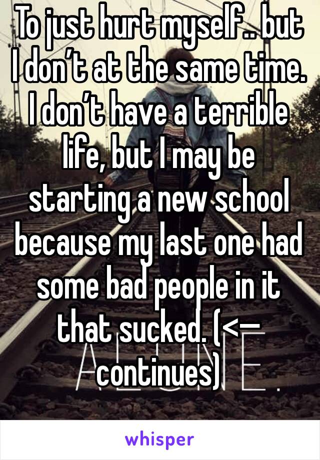 To just hurt myself.. but I don’t at the same time. I don’t have a terrible life, but I may be starting a new school because my last one had some bad people in it that sucked. (<— continues)