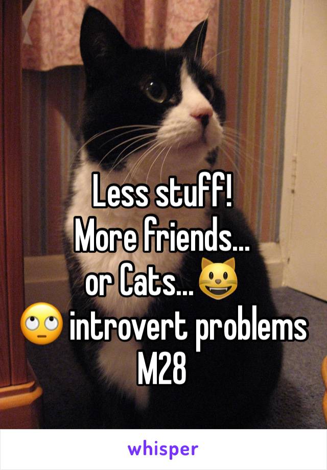 Less stuff!
More friends...
or Cats...😺
🙄 introvert problems
M28
