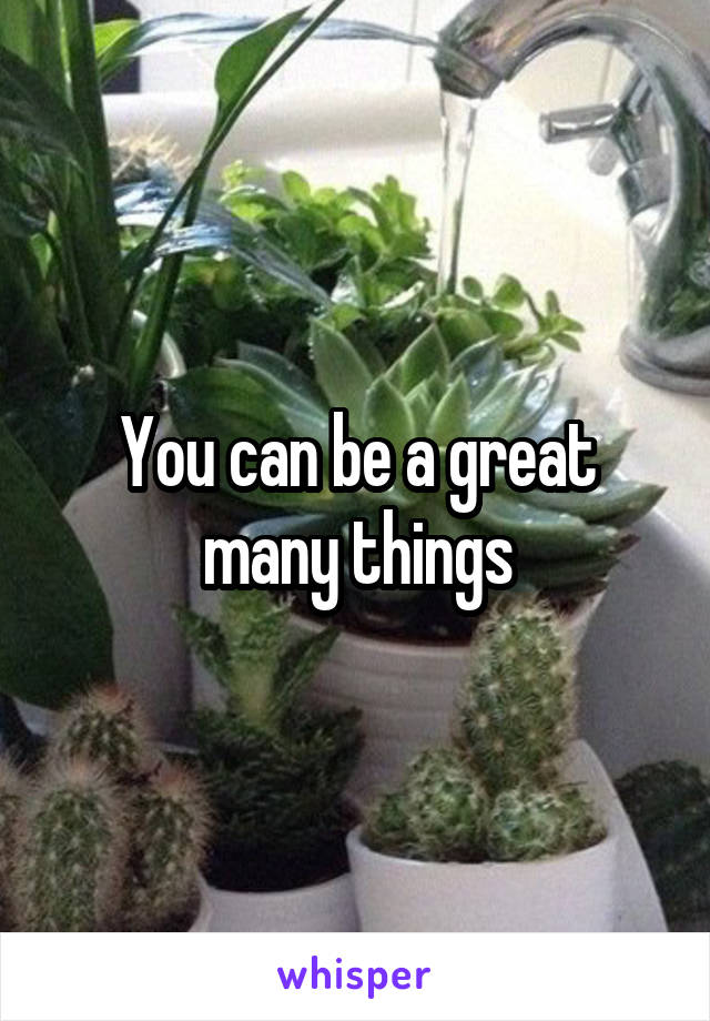 You can be a great many things