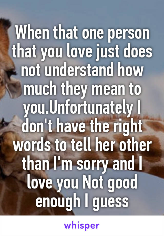 When that one person that you love just does not understand how much they mean to you.Unfortunately I don't have the right words to tell her other than I'm sorry and I love you Not good enough I guess