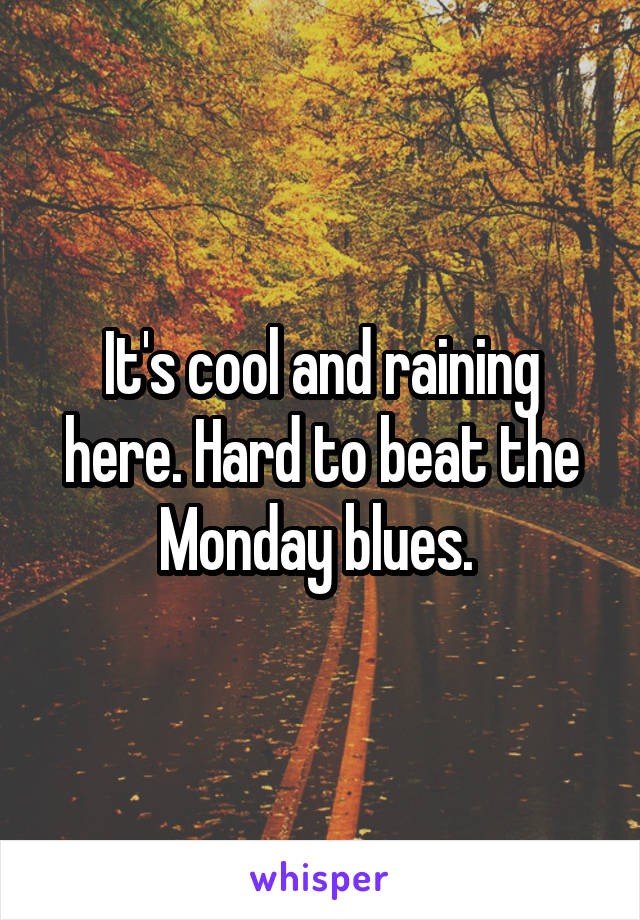 It's cool and raining here. Hard to beat the Monday blues. 
