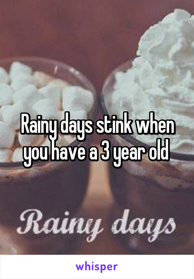 Rainy days stink when you have a 3 year old 
