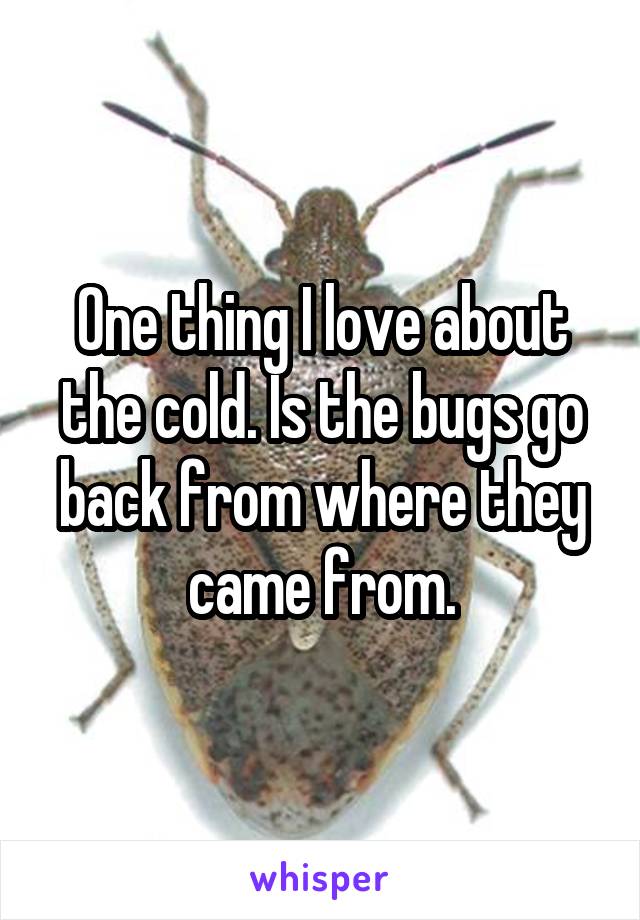 One thing I love about the cold. Is the bugs go back from where they came from.