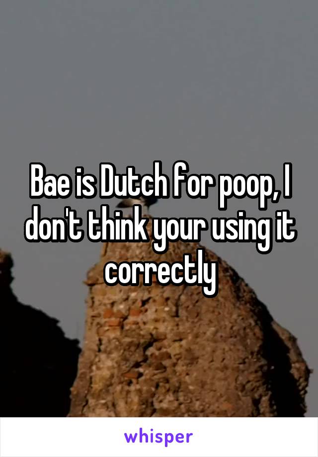 Bae is Dutch for poop, I don't think your using it correctly