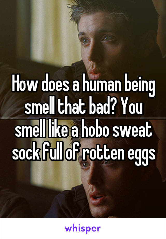 How does a human being smell that bad? You smell like a hobo sweat sock full of rotten eggs