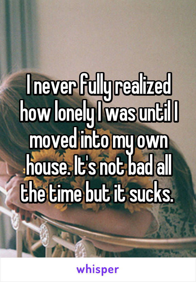 I never fully realized how lonely I was until I moved into my own house. It's not bad all the time but it sucks. 