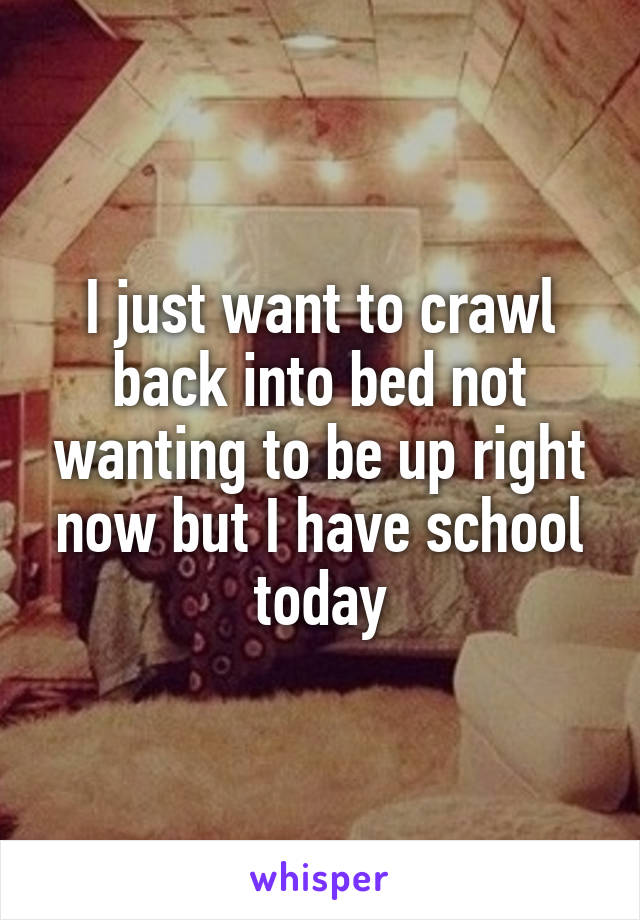 I just want to crawl back into bed not wanting to be up right now but I have school today