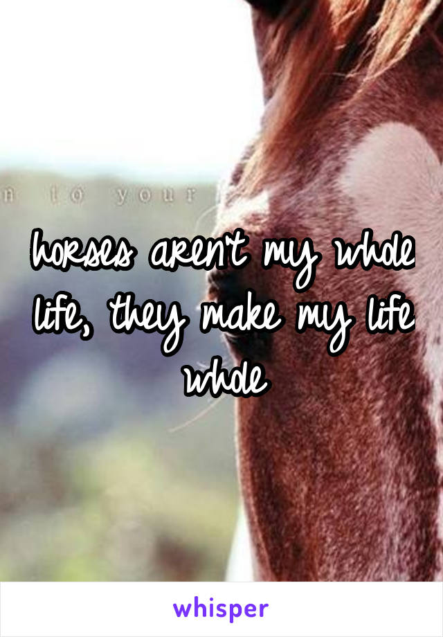 horses aren't my whole life, they make my life whole
