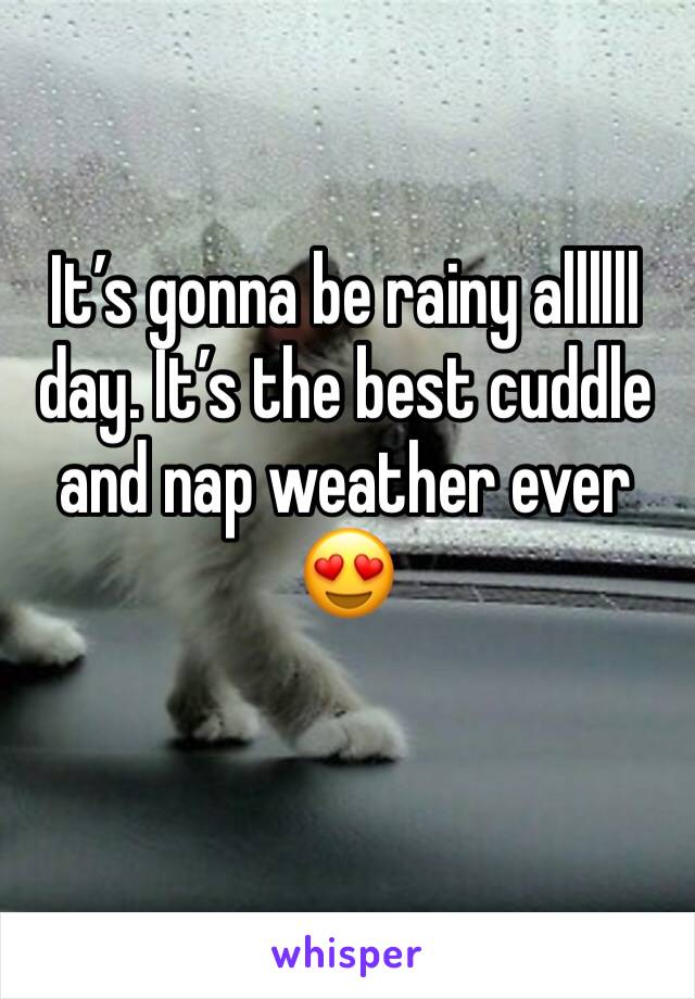 It’s gonna be rainy allllll day. It’s the best cuddle and nap weather ever 😍