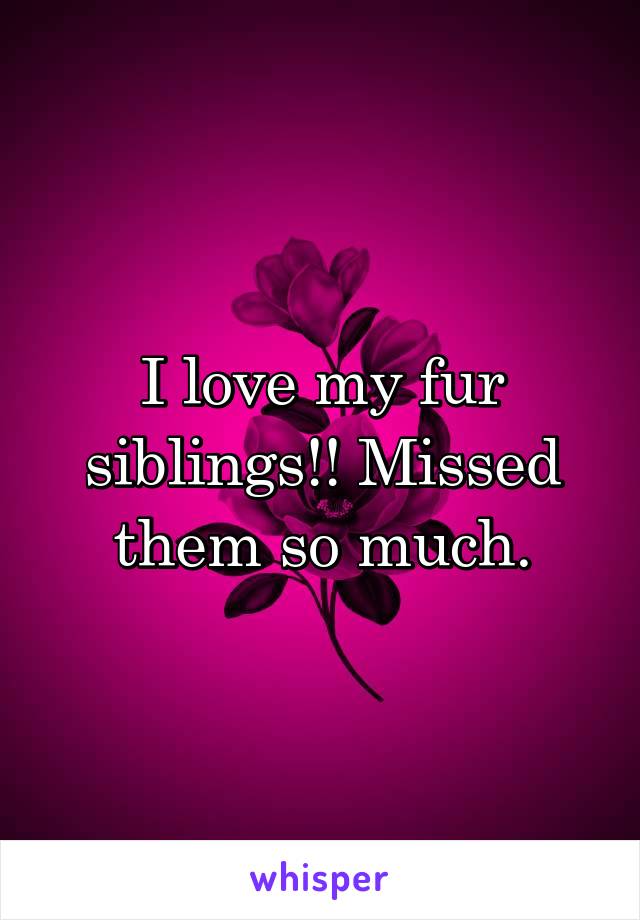 I love my fur siblings!! Missed them so much.