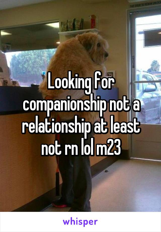 Looking for companionship not a relationship at least not rn lol m23