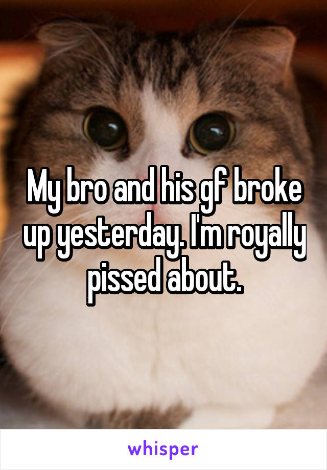 My bro and his gf broke up yesterday. I'm royally pissed about.