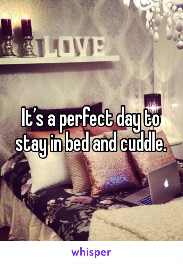 It’s a perfect day to stay in bed and cuddle.