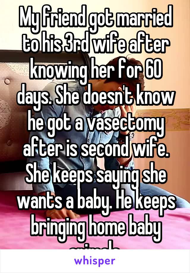 My friend got married to his 3rd wife after knowing her for 60 days. She doesn't know he got a vasectomy after is second wife. She keeps saying she wants a baby. He keeps bringing home baby animals.