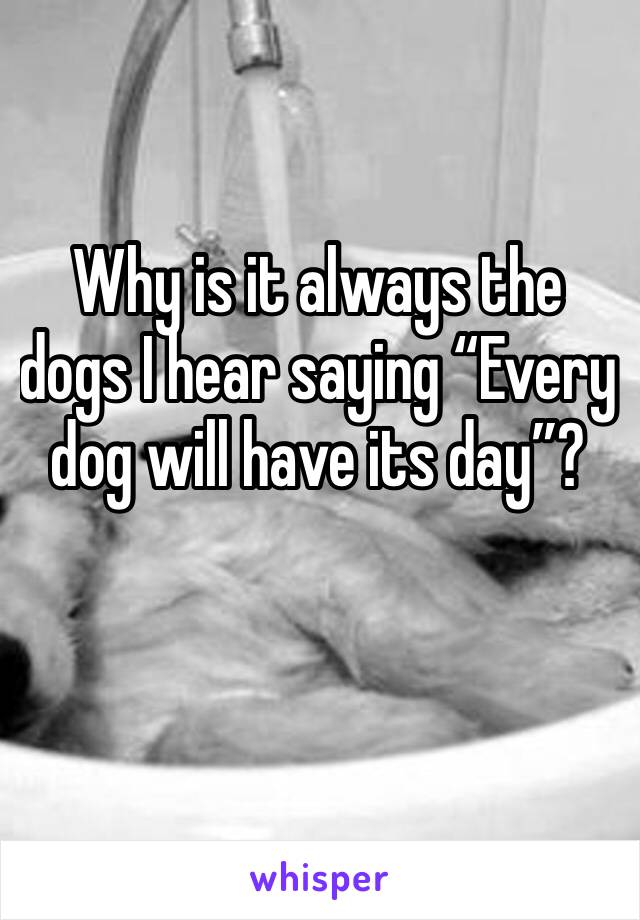 Why is it always the dogs I hear saying “Every dog will have its day”? 