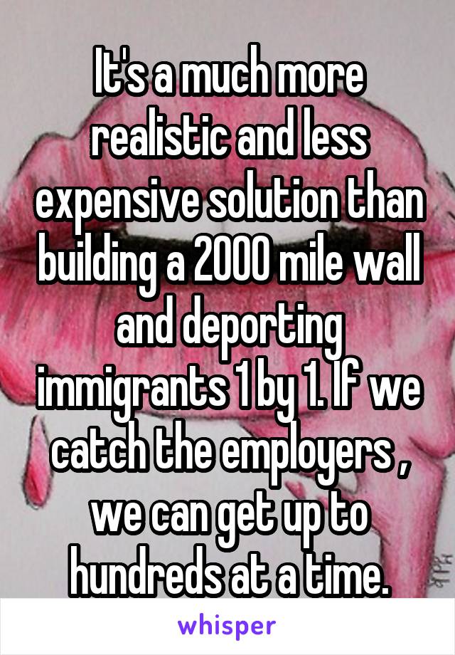 It's a much more realistic and less expensive solution than building a 2000 mile wall and deporting immigrants 1 by 1. If we catch the employers , we can get up to hundreds at a time.