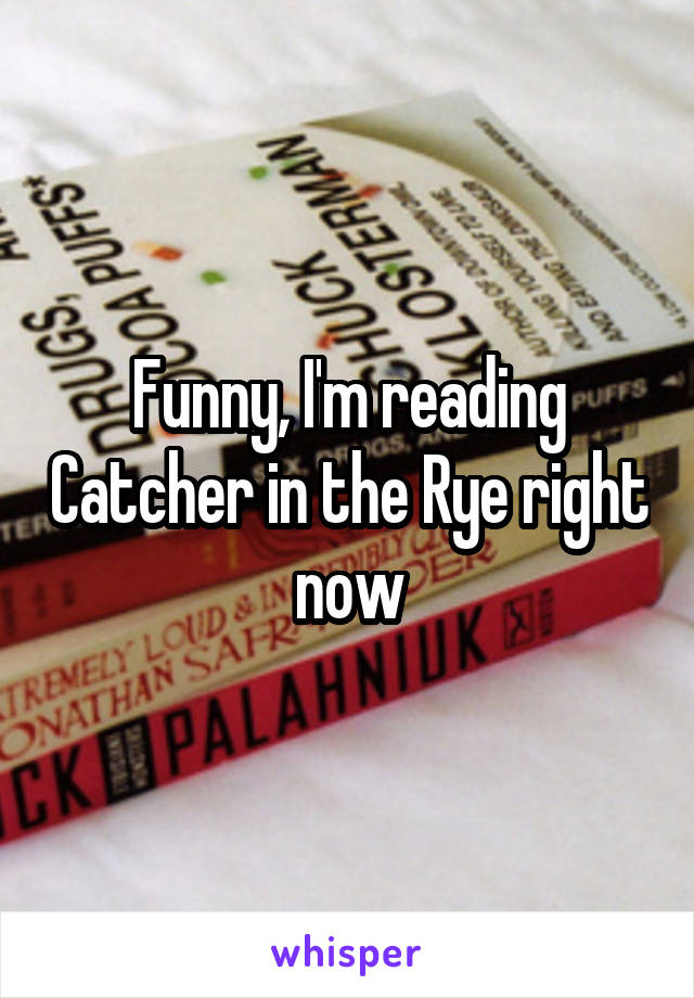 Funny, I'm reading Catcher in the Rye right now