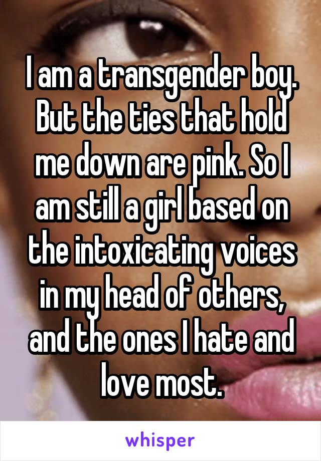 I am a transgender boy. But the ties that hold me down are pink. So I am still a girl based on the intoxicating voices in my head of others, and the ones I hate and love most.