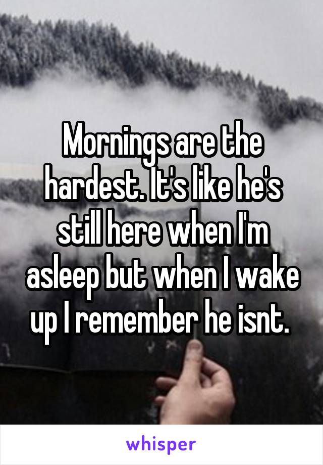 Mornings are the hardest. It's like he's still here when I'm asleep but when I wake up I remember he isnt. 
