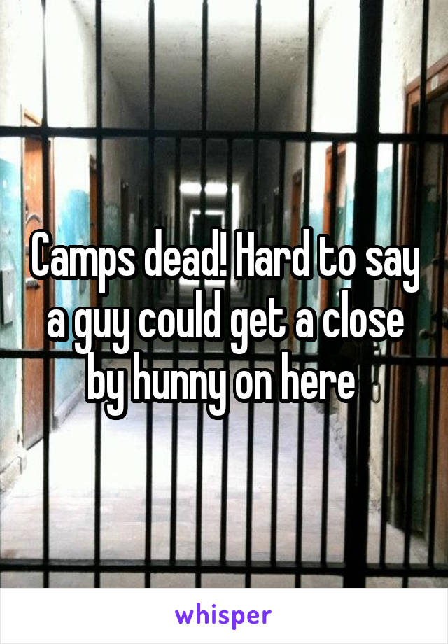 Camps dead! Hard to say a guy could get a close by hunny on here 