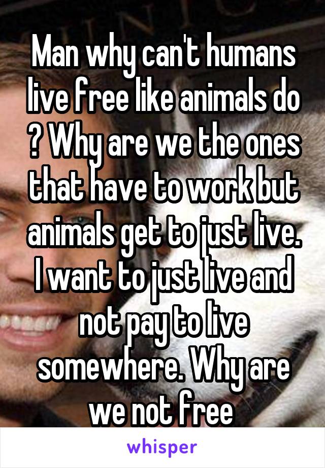 Man why can't humans live free like animals do ? Why are we the ones that have to work but animals get to just live. I want to just live and not pay to live somewhere. Why are we not free 